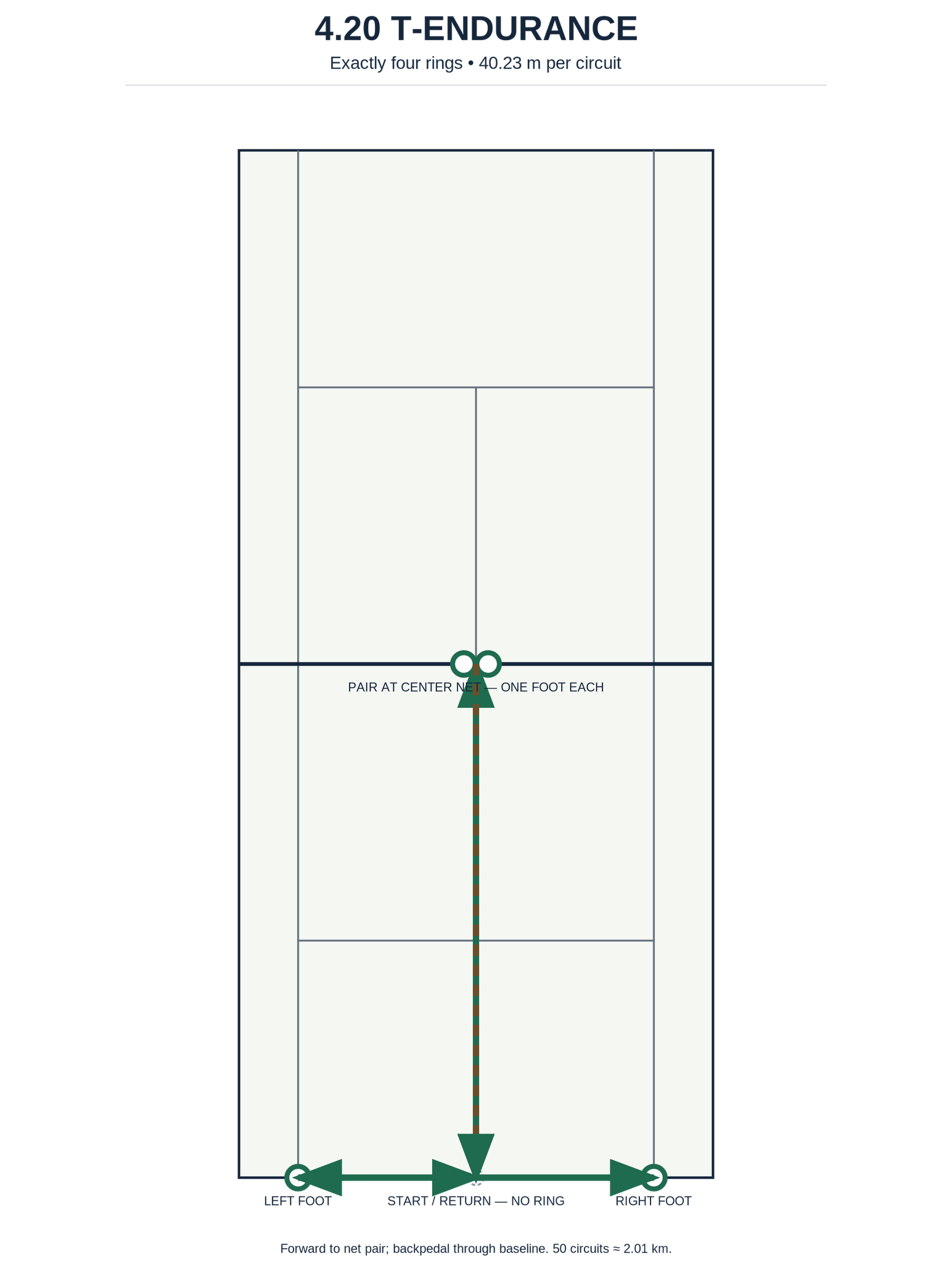 T-Endurance 4.20: baseline side contacts, return to center, sprint to two net rings and backpedal; 50 circuits at 40.23 m per circuit.