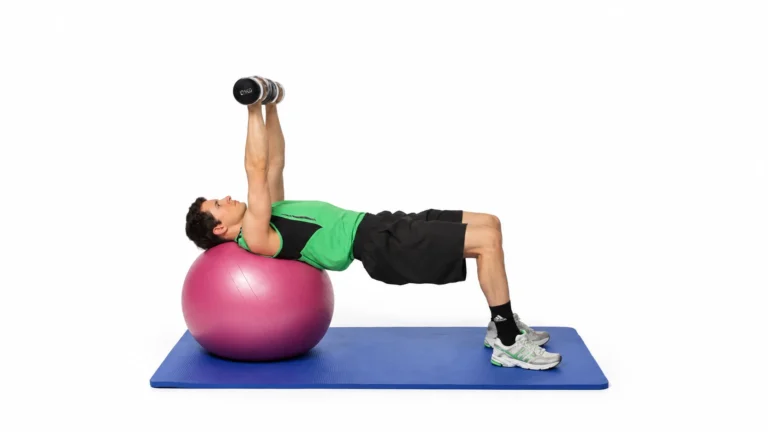 6.103 bilateral press: dumbbells raised with the same supported trunk position